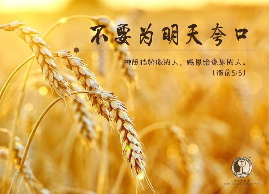 不要为明天夸口